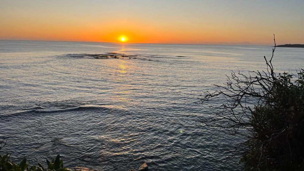 Beachside Apartment Blackwoods Beach Cronulla Bagian luar foto